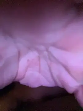 daddyybbpp online show from March 2026 05:41:02 PM