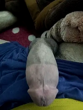 amirMohamed58 online show from February 2026 09:23:01 PM