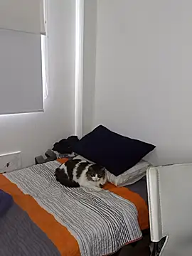 Nikolth 4 online show from February 2026 03:18:01 PM