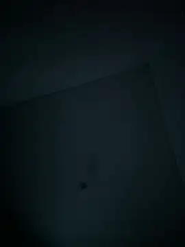 Snapshot of dominick_fran chatting on February 2026 11:10:02 PM dominick fran online show from February 2026 11:10:02 PM