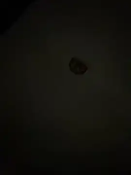 Snapshot of Diamanda12 chatting on March 2026 04:36:01 AM Diamanda12 online show from March 2026 04:36:01 AM