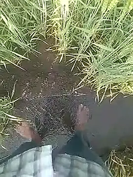 Snapshot of Cute_Boy_4 chatting on February 2026 03:21:02 AM Cute Boy 4 online show from February 2026 03:21:02 AM