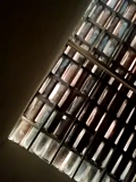 Snapshot of lorraine2036 chatting on February 2026 09:52:01 AM lorraine2036 online show from February 2026 09:52:01 AM