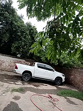 leo85rf online show from February 2026 07:18:01 PM