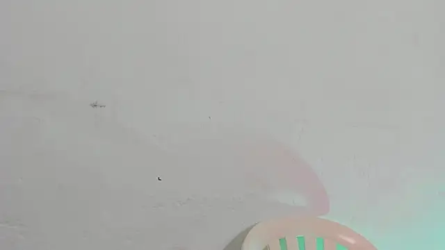 Emely pregnantt online show from February 2026 04:03:02 PM