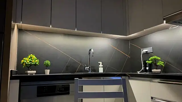 BlackFox V online show from March 2026 08:31:01 PM