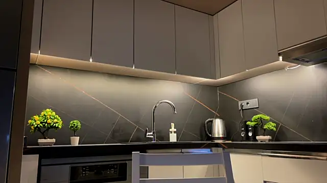 BlackFox V online show from April 2026 09:13:01 PM