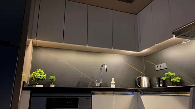 BlackFox V online show from April 2026 09:34:01 PM