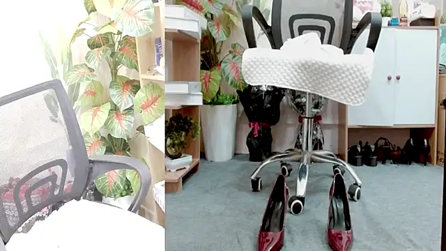 Zinna999 online show from March 2026 12:08:01 PM