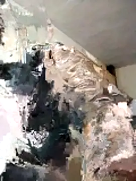 Snapshot of BoxedDitty chatting on February 2026 03:18:01 AM BoxedDitty online show from February 2026 03:18:01 AM