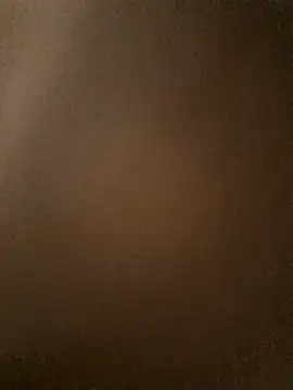 Snapshot of TropBig chatting on February 2026 09:59:01 AM TropBig online show from February 2026 09:59:01 AM