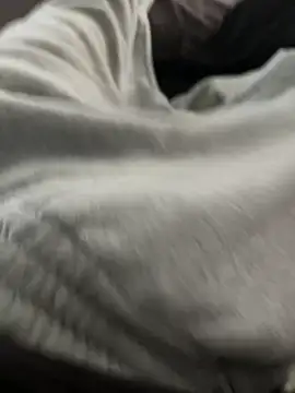 bugballs1 online show from February 2026 11:38:02 PM