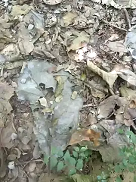 kalai 32 online show from February 2026 06:19:02 AM