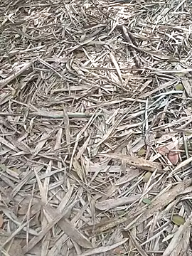 kalai 32 online show from February 2026 06:51:02 AM