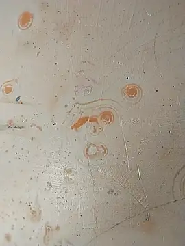 Sapna baby1 online show from February 2026 04:42:02 AM