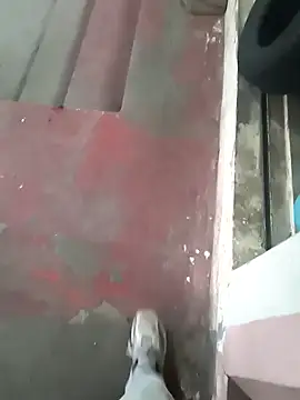 Snapshot of Castrol1289 chatting on February 2026 12:52:02 PM Castrol1289 online show from February 2026 12:52:02 PM