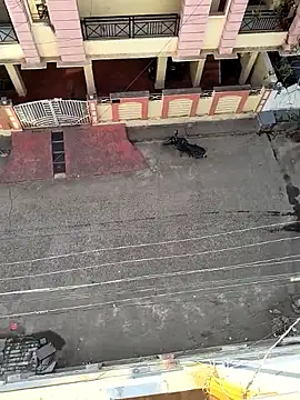 Snapshot of Castrol1289 chatting on February 2026 03:00:02 AM Castrol1289 online show from February 2026 03:00:02 AM