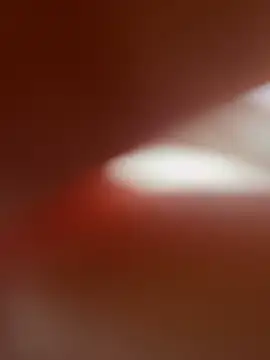 zo-19cm online show from February 2026 01:33:02 PM