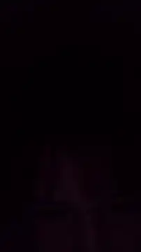 TululipuZ online show from February 2026 07:20:02 AM