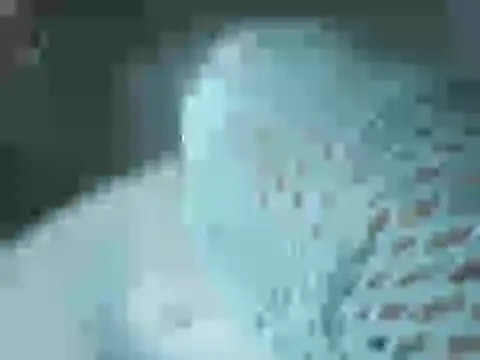 Skyrider95 online show from March 2026 11:41:01 PM