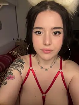 Venustrapp online show from February 2026 02:47:01 PM