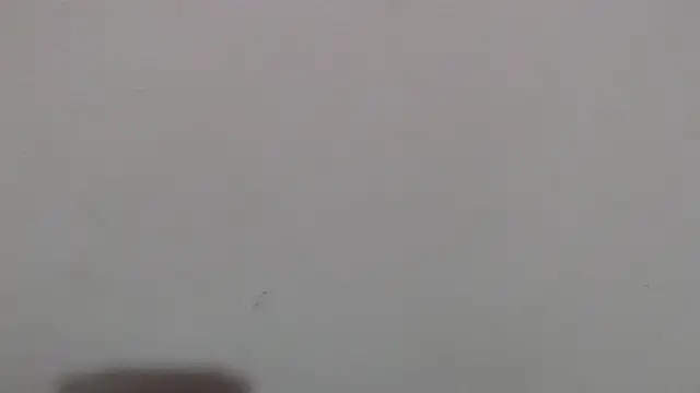 im angel777 online show from February 2026 10:04:02 PM