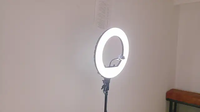 Snapshot of FernandaBrown__ chatting on February 2026 12:36:01 PM FernandaBrown online show from February 2026 12:36:01 PM