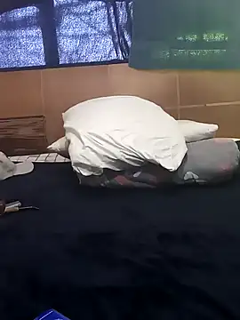 baby 22cm online show from February 2026 01:44:02 PM