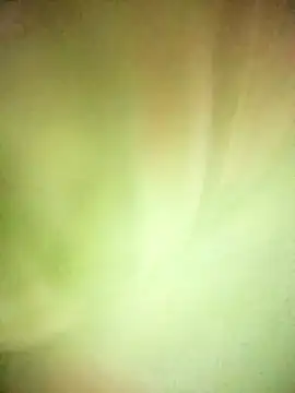 BIG QWEEN NO1 online show from February 2026 06:37:01 AM