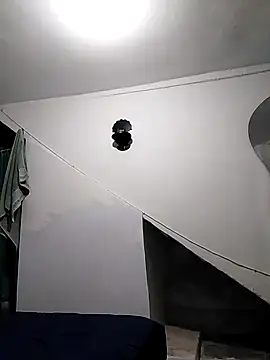 vargas diam online show from February 2026 03:01:01 AM