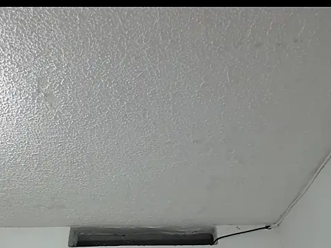 peytonbrunette online show from April 2026 04:31:01 AM