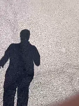 stallone italiano 62 online show from March 2026 11:24:01 AM