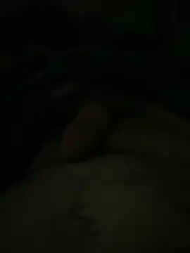 stallone italiano 62 online show from April 2026 05:12:02 AM