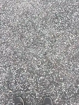 stallone italiano 62 online show from April 2026 06:18:01 AM