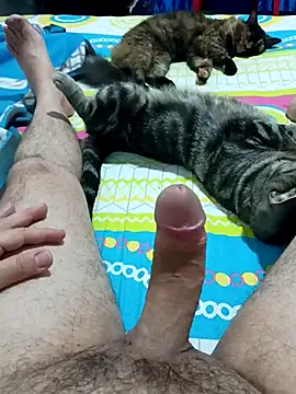 Snapshot of JFC161612 chatting on April 2026 06:14:01 AM JFC161612 online show from April 2026 06:14:01 AM