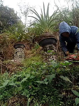 Snapshot of nelina_12345 chatting on February 2026 09:08:02 AM nelina 12345 online show from February 2026 09:08:02 AM