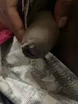 Snapshot of Magic_Spell_Tamil chatting on February 2026 03:34:02 PM Magic Spell Tamil online show from February 2026 03:34:02 PM