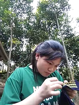 Baby flower 1 online show from February 2026 08:04:02 AM