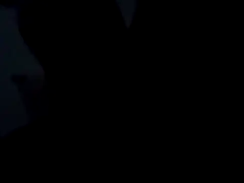 Milwokee online show from February 2026 08:12:01 AM