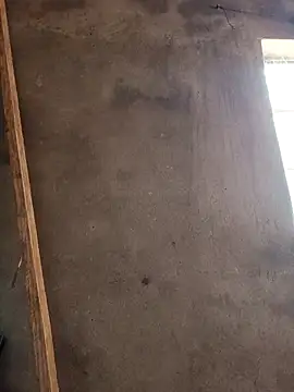 mollyboydick online show from March 2026 10:30:02 AM