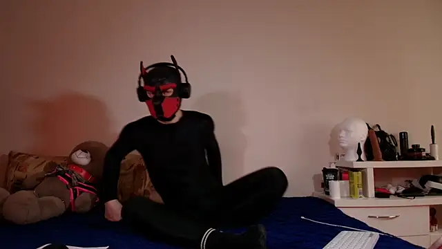 K9 GoodBoy online show from May 2026 11:42:02 AM