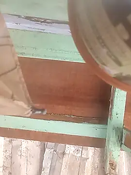 euchapo99 online show from February 2026 01:51:01 PM