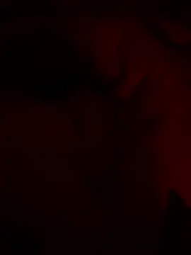 shark822 online show from February 2026 09:03:02 PM