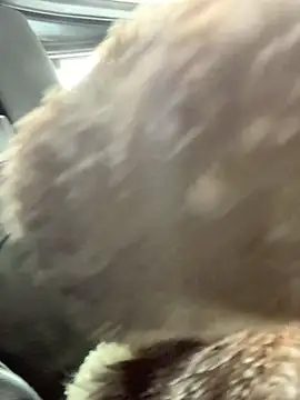 Emily-Fire online show from March 2026 07:21:02 PM