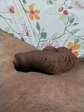 Snapshot of estebanxxxxxx chatting on March 2026 01:55:01 AM estebanxxxxxx online show from March 2026 01:55:01 AM