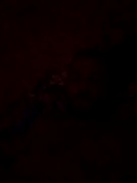 Snapshot of Blisiomar chatting on May 2026 12:52:02 AM Blisiomar online show from May 2026 12:52:02 AM