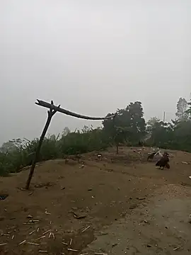 Nth5h online show from March 2026 10:55:01 PM