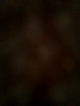 Snapshot of family69all chatting on February 2026 01:31:01 PM family69all online show from February 2026 01:31:01 PM