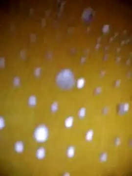 Vycute9900 online show from March 2026 01:02:01 PM