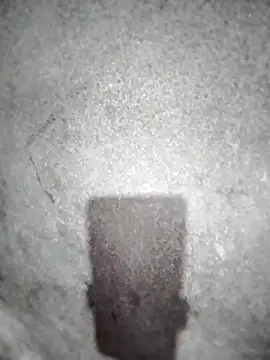 ngocbao11 online show from March 2026 12:54:01 PM